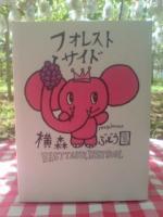 種無しデラウエア2kg
